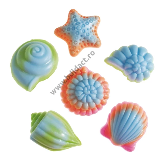 Forme de săpun, scoici, 6 modele