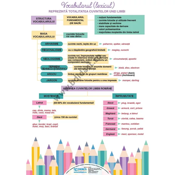 Verbul (1) - Vocabularul (Lexicul)