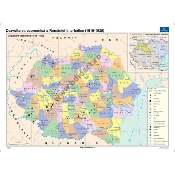 Dezvoltarea economică a României între cele două războaie mondiale (1919-1938) 140*100 cm - în limba română