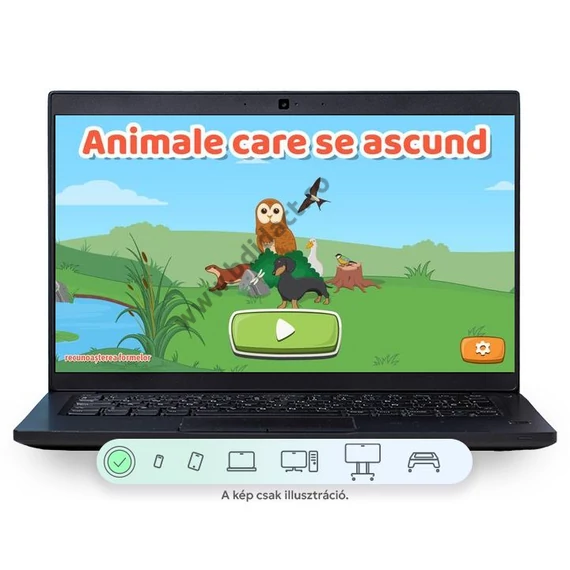 Softdidactic: Animale care se ascund
