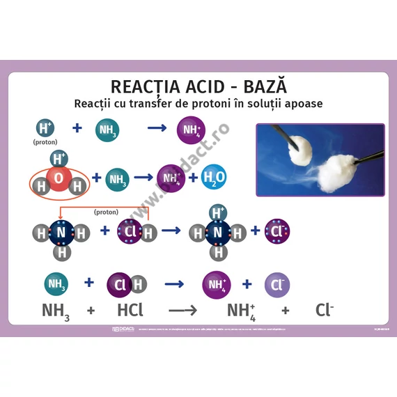 Panou informativ - reacția acid-bază