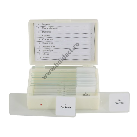 Set de secțiuni microscopice de 10 bucăți - microorganisme unicelulare