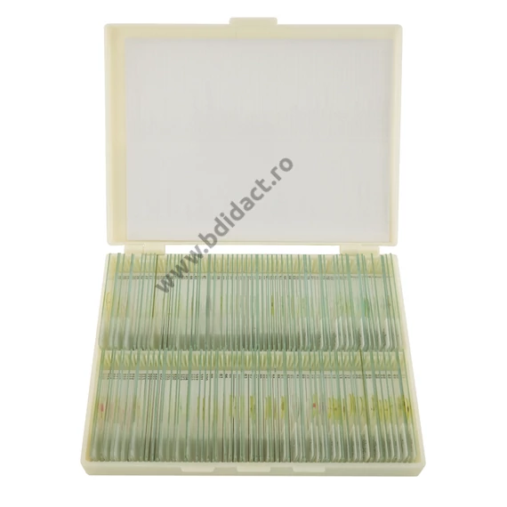 Set mare de microspecimene școlare