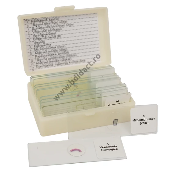 Set de lame preparate microscopice, 14 piese