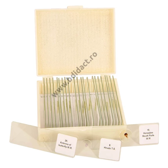 Set de lame pentru microscop - set 25 buc. - animale: de la unicelulare la insecte