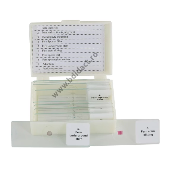Ferigi - Set 10 lame preparate pentru microscop