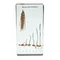 Germinarea grâului preparat – 16,4 x 7,8 cm
