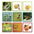 Carte foto maxi - Evoluția naturii