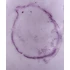 Bacili – Set de lamele microscopice, 10 bucăți