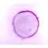Bacili – Set de lamele microscopice, 10 bucăți