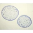 Set de lame preparate microscopice, 14 piese