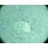 Set de lame preparate microscopice, 14 piese