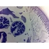 Set de lame pentru microscop - set 25 buc. - animale: de la unicelulare la insecte