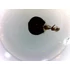 Set de lame pentru microscop - set 25 buc. - animale: de la unicelulare la insecte