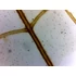 Set de lame pentru microscop - set 25 buc. - animale: de la unicelulare la insecte