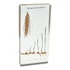 Germinarea grâului preparat – 16,4 x 7,8 cm