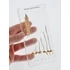 Germinarea grâului preparat – 16,4 x 7,8 cm